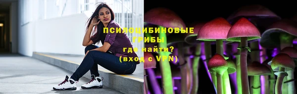 ешки Лабытнанги