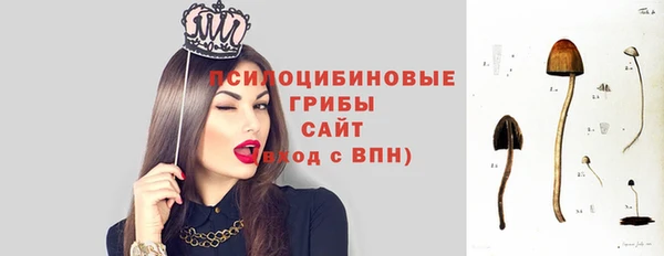 спиды Лагань