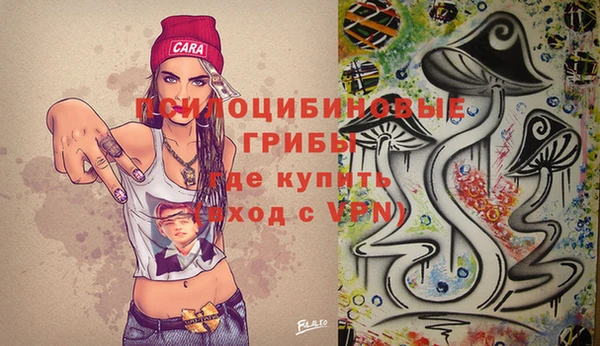 спиды Лагань