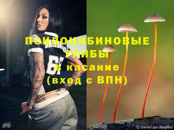 ешки Лабытнанги