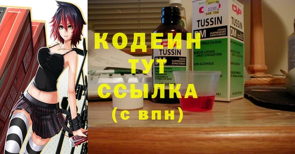 спиды Лагань