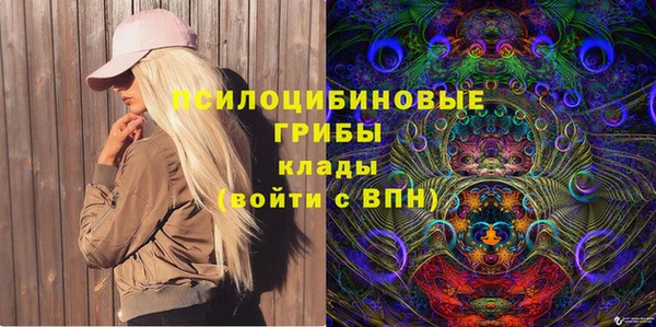 гашик Иннополис