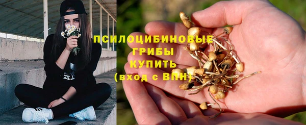 дурь Ладушкин