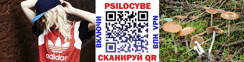 Галлюциногенные грибы прущие грибы  Омутнинск 